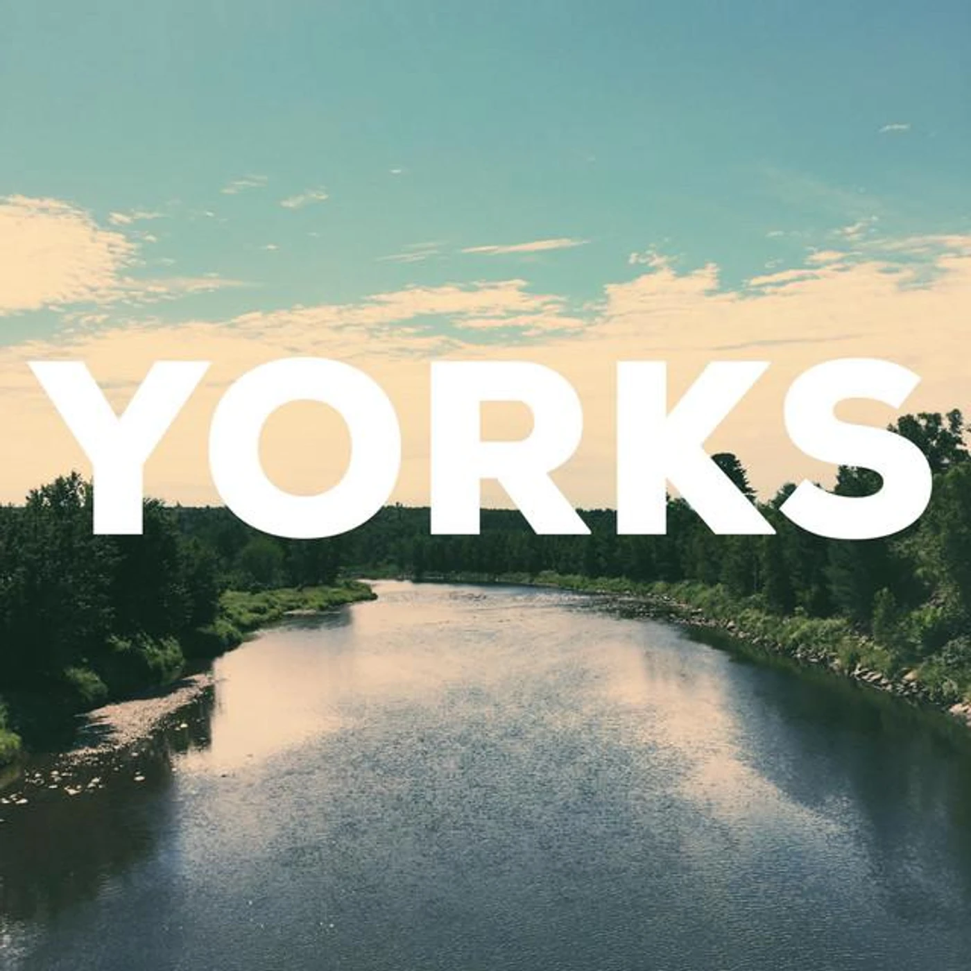 Yorks