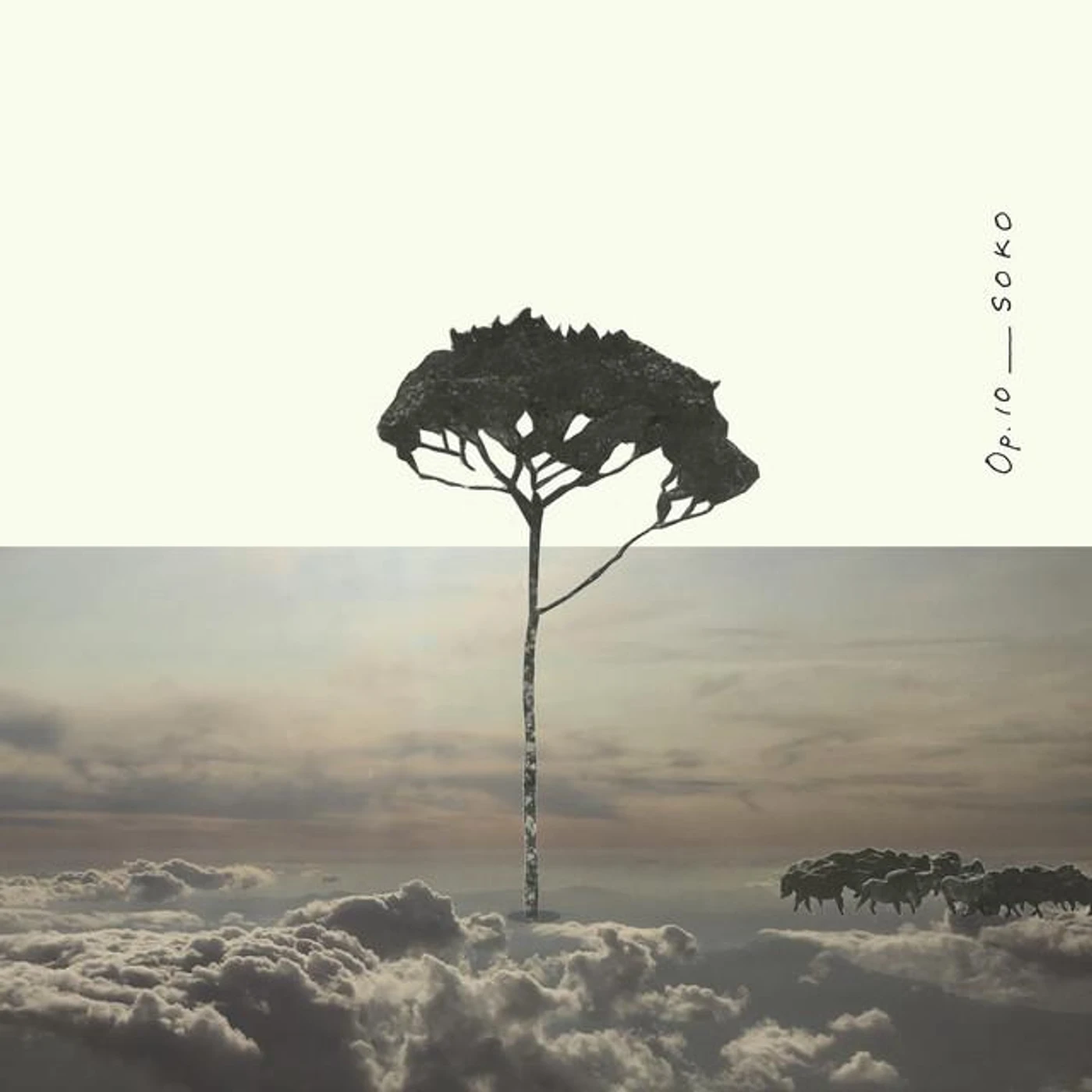 Yosuke Fujita Brand Page