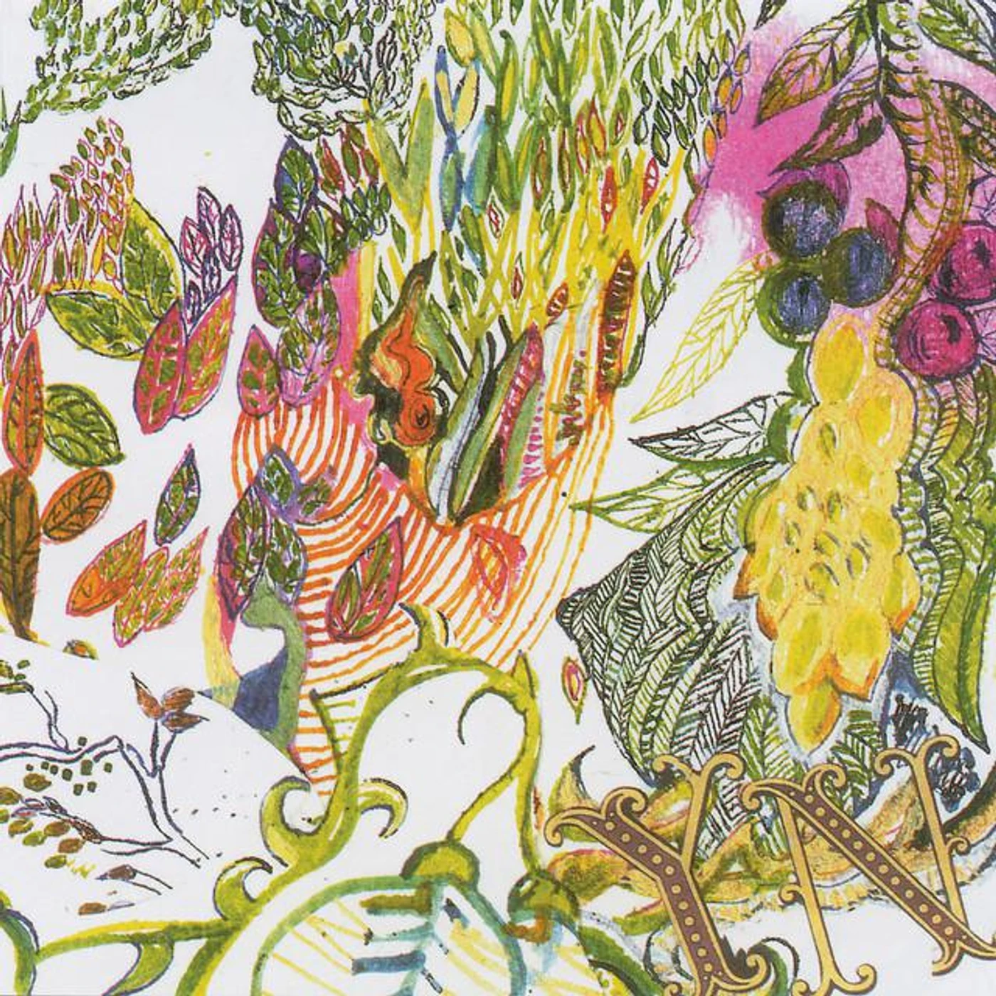 Yuma Nora Brand Page