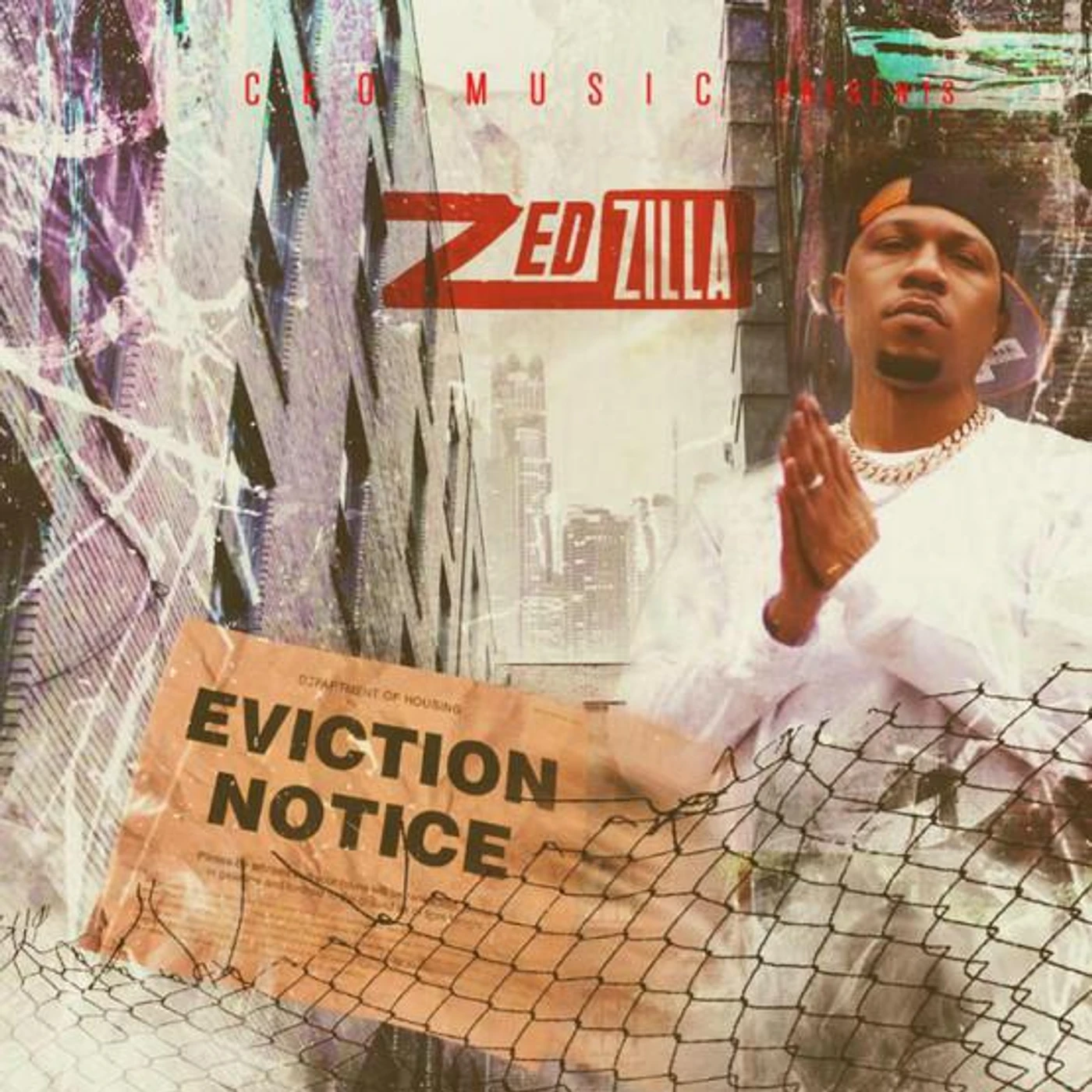 Zed Zilla Brand Page