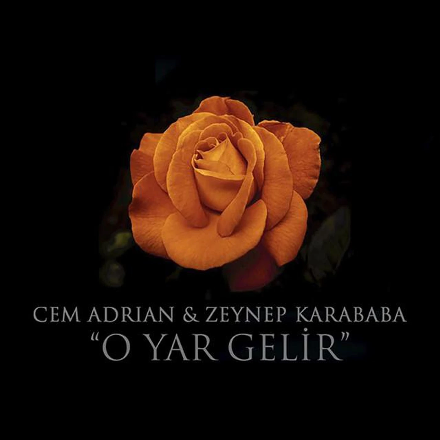 Zeynep Karababa