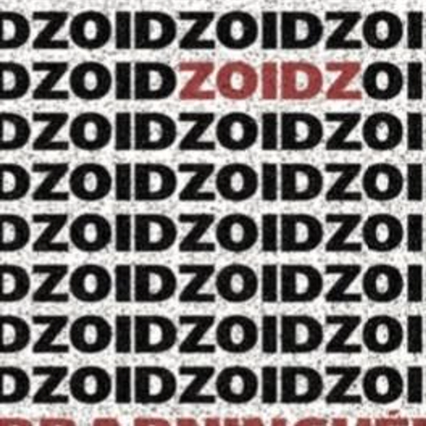 Zoidz