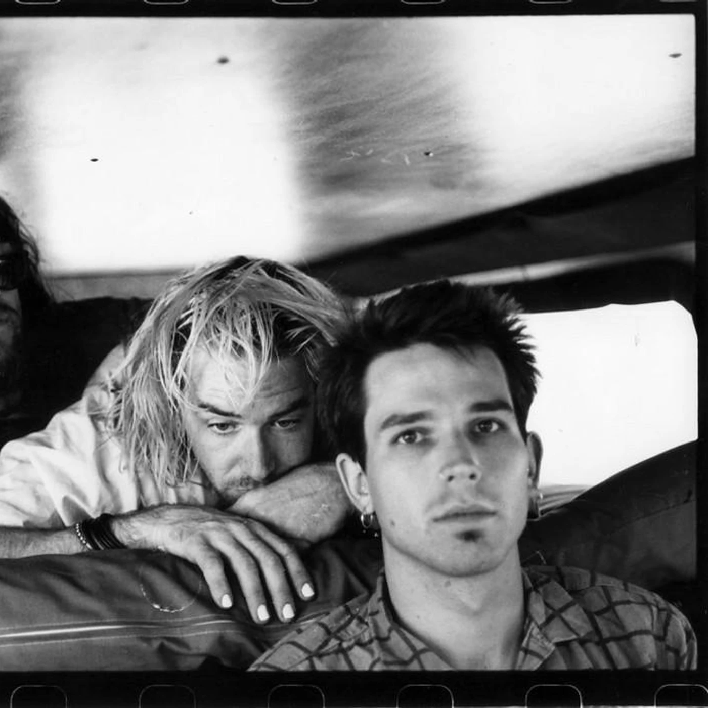 A Minor Forest Brand Page