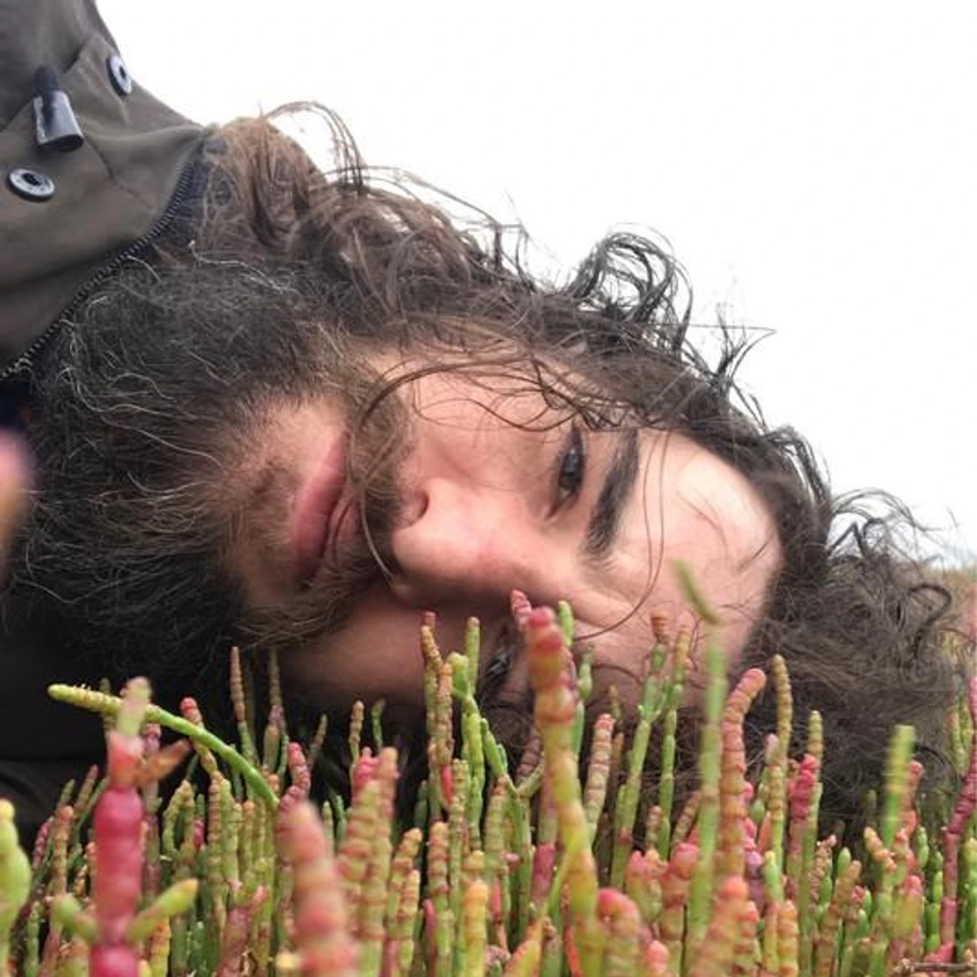 A.B. Chediski Brand Page