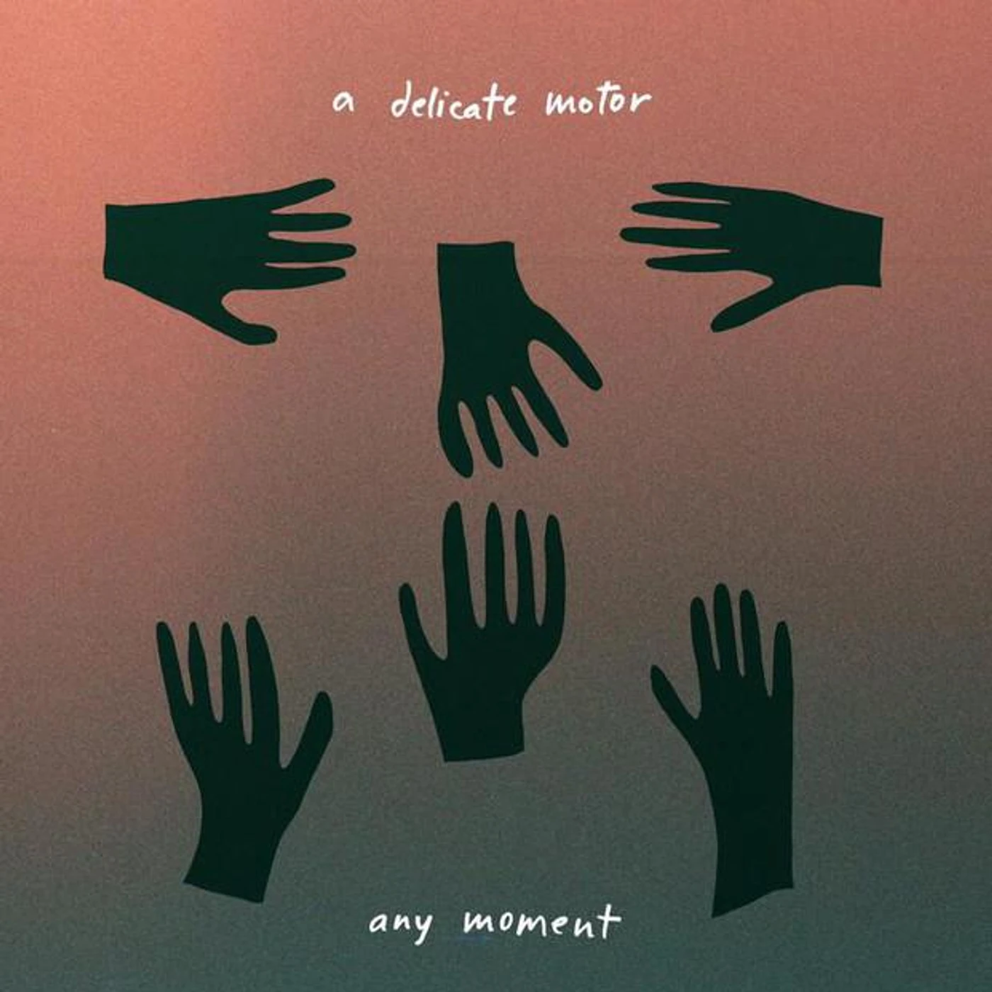 A Delicate Motor