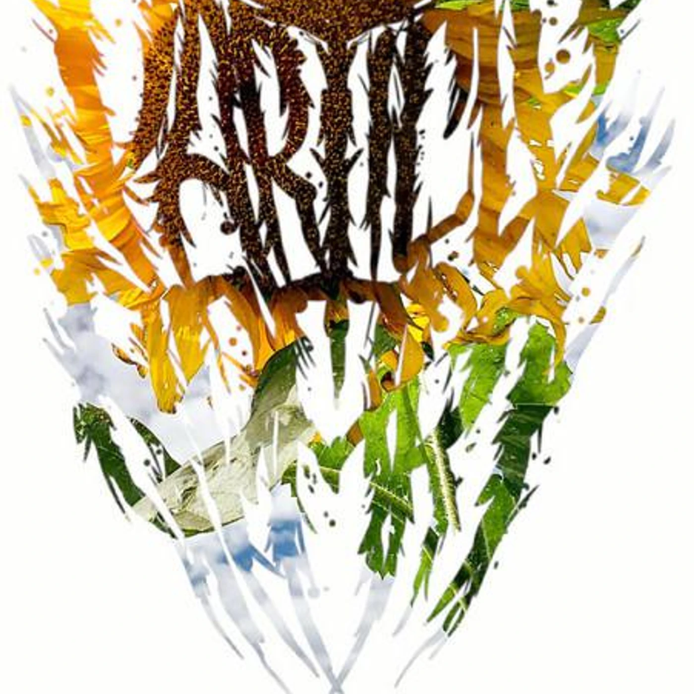 A Particle Apart