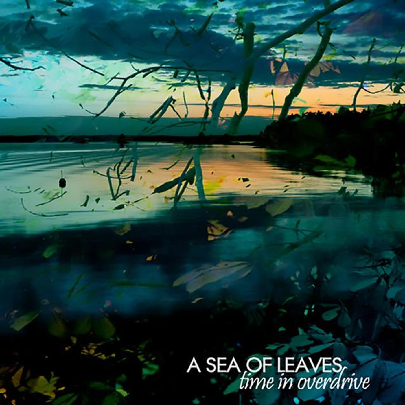 A Sea of Leaves