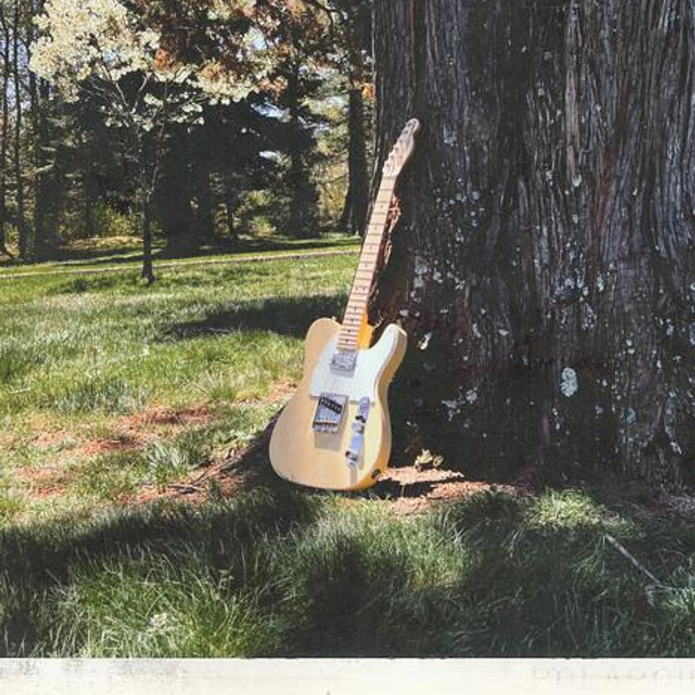 a sound for you Brand Page