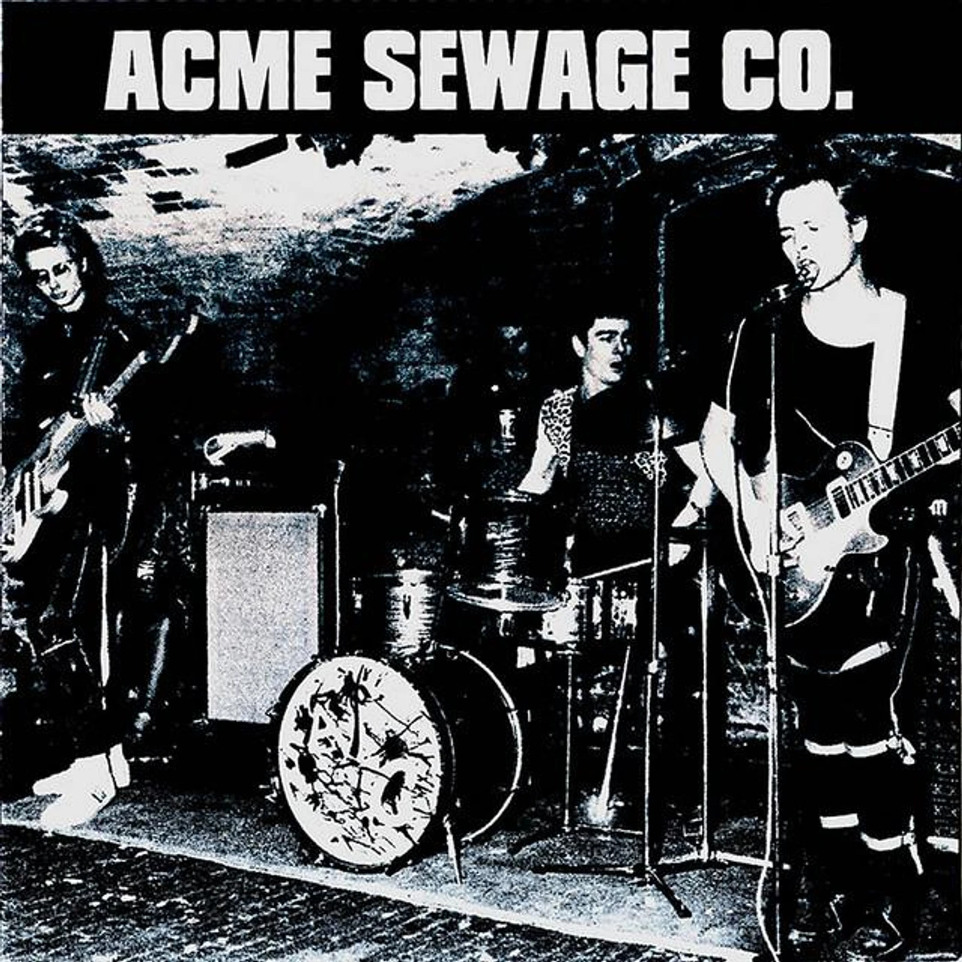 Acme Sewage Co. Brand Page