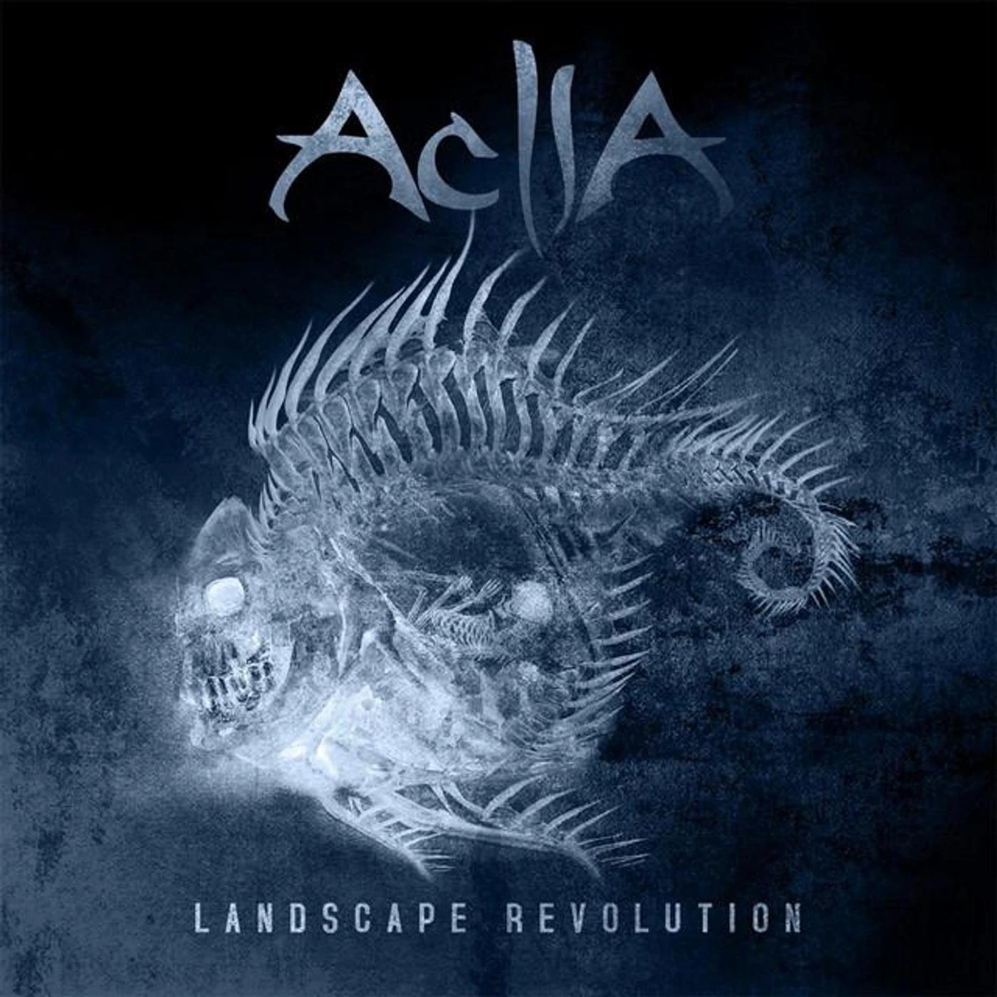 Aclla Brand Page
