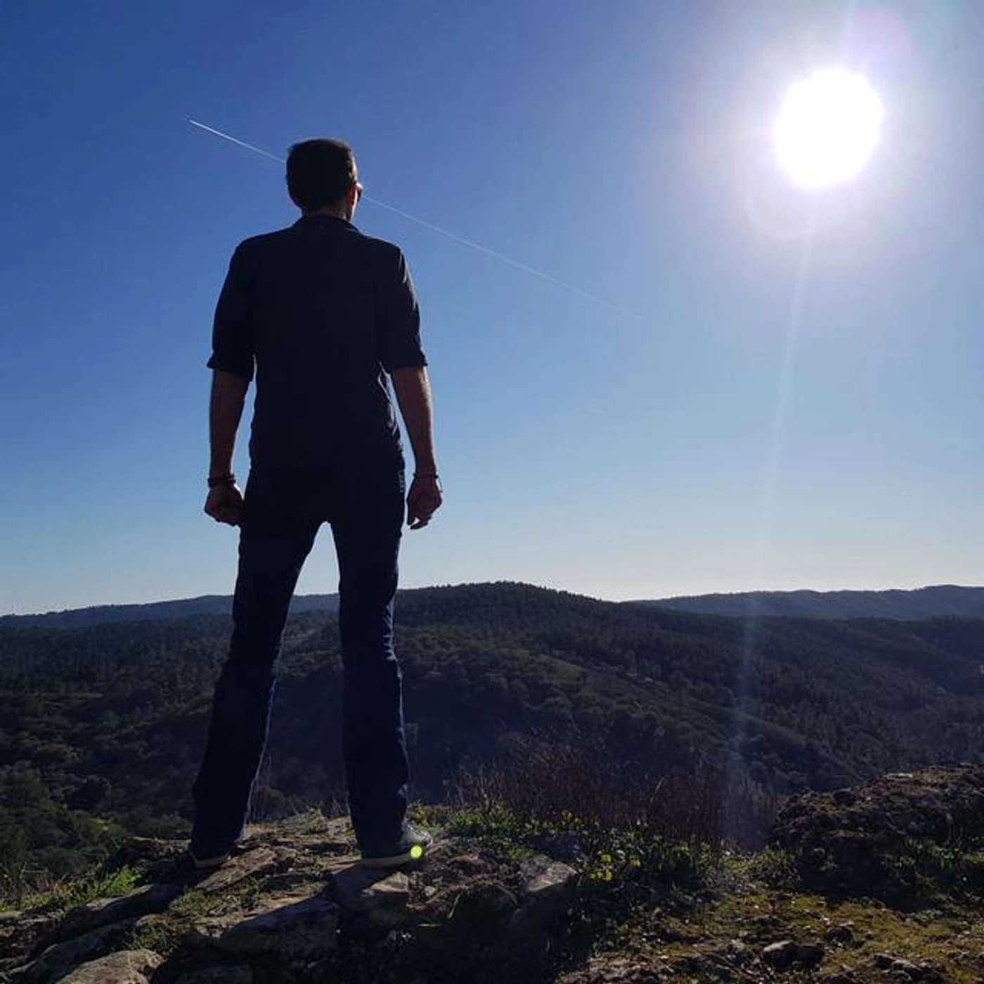 Actraiser Brand Page