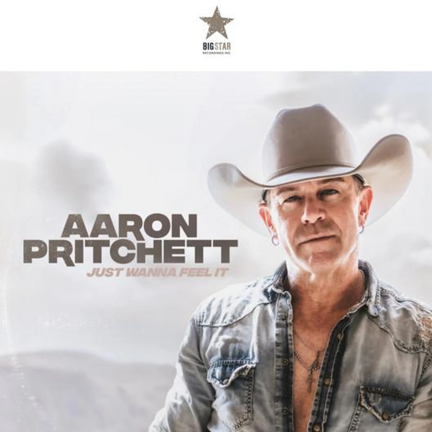 Aaron Pritchett Brand Page