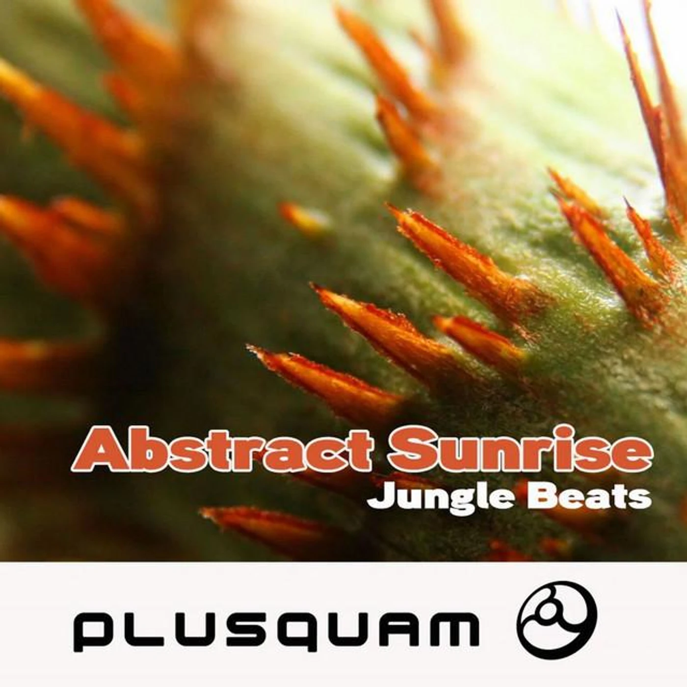 Abstract Sunrise Brand Page