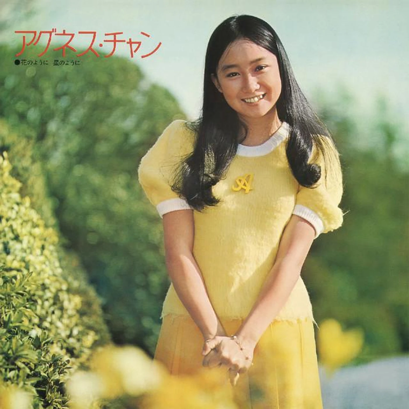 Agnes Chan Brand Page