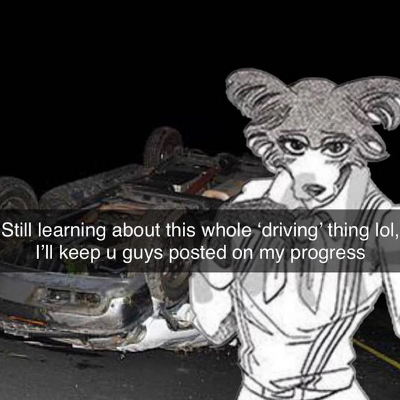 Adler, The Hyena Brand Page