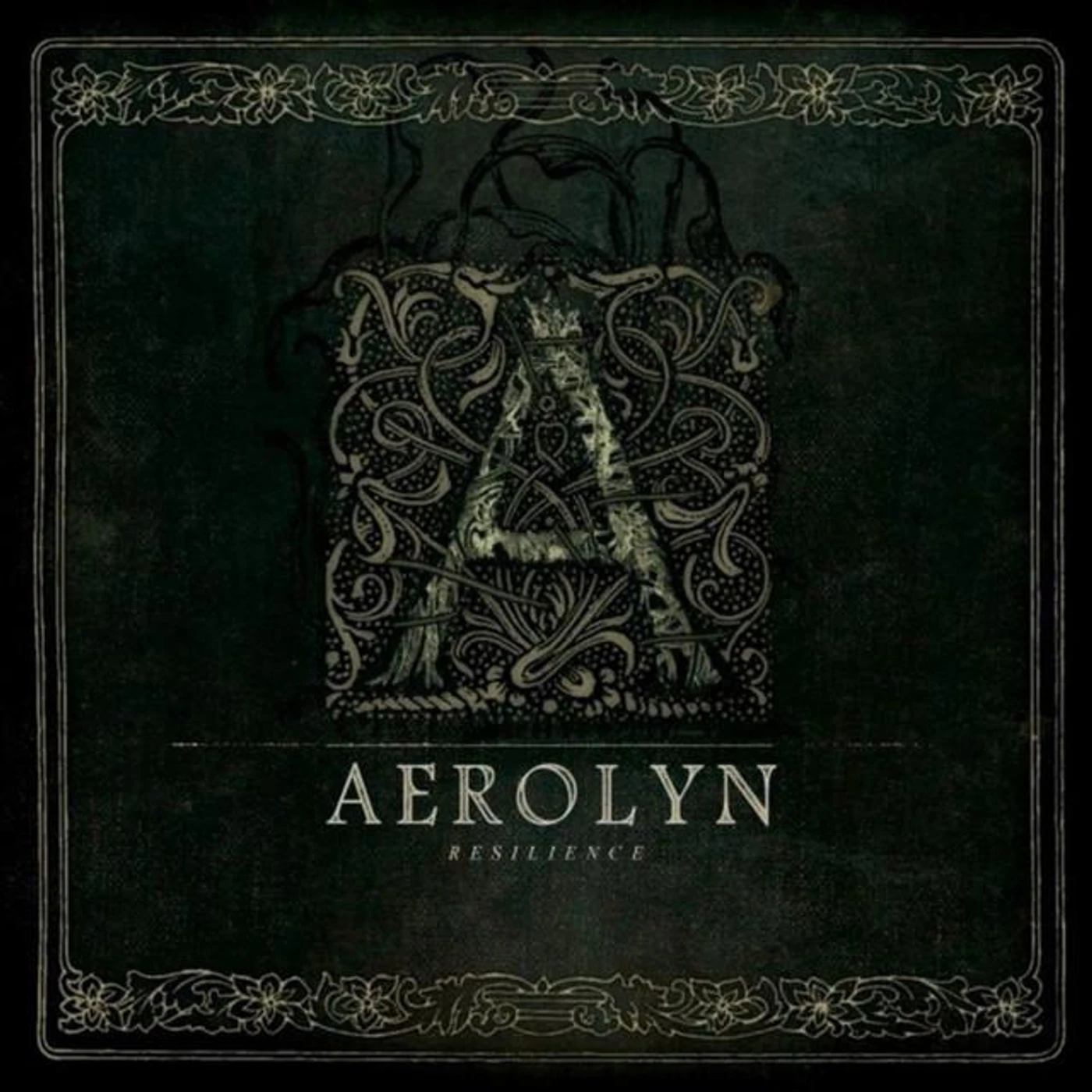 Aerolyn Brand Page
