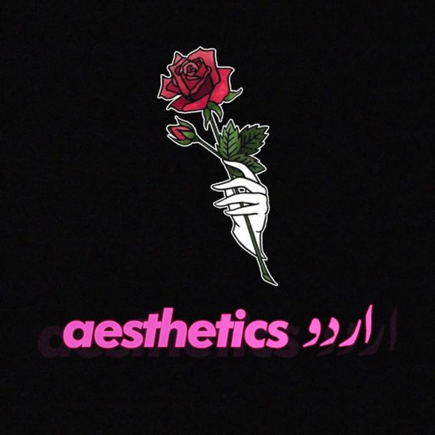 Aesthetics Urdu