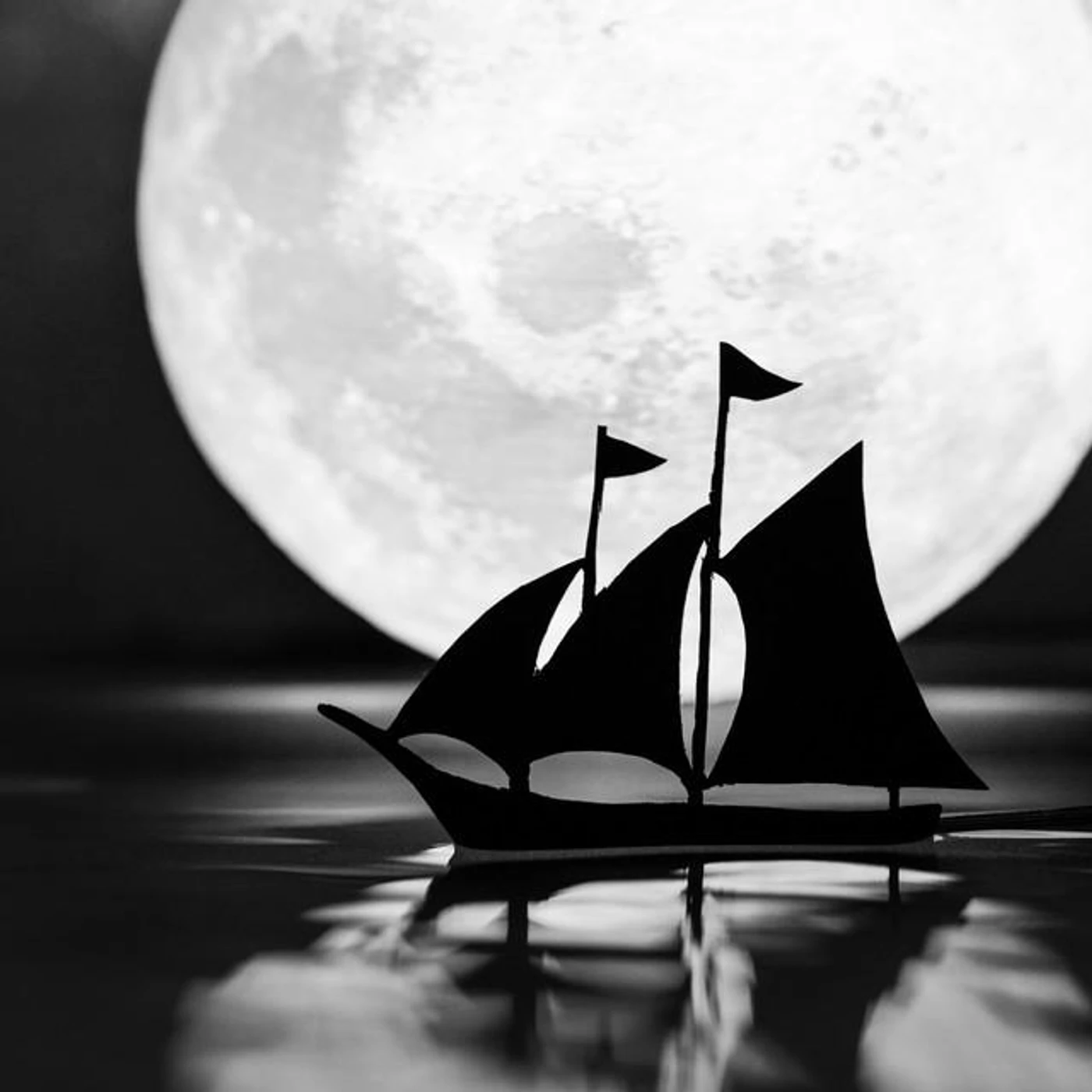 Aoi Tejima Brand Page