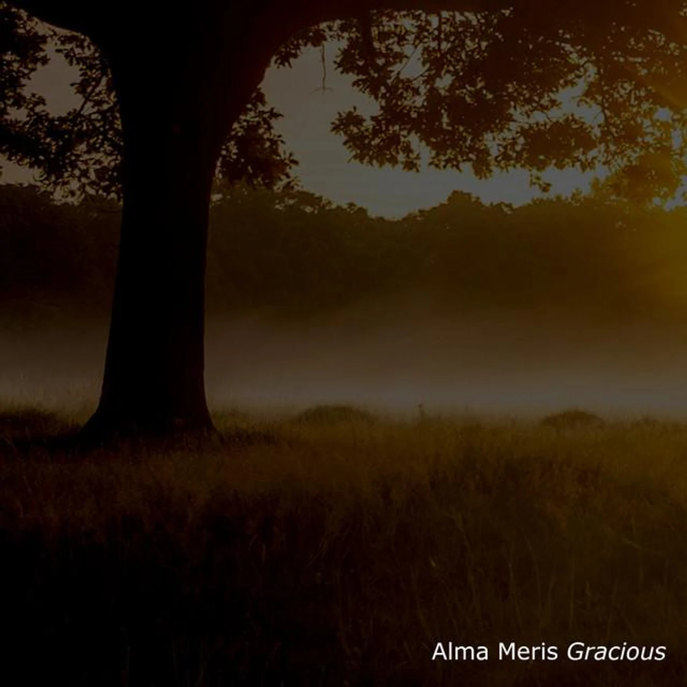 Alma Meris Brand Page