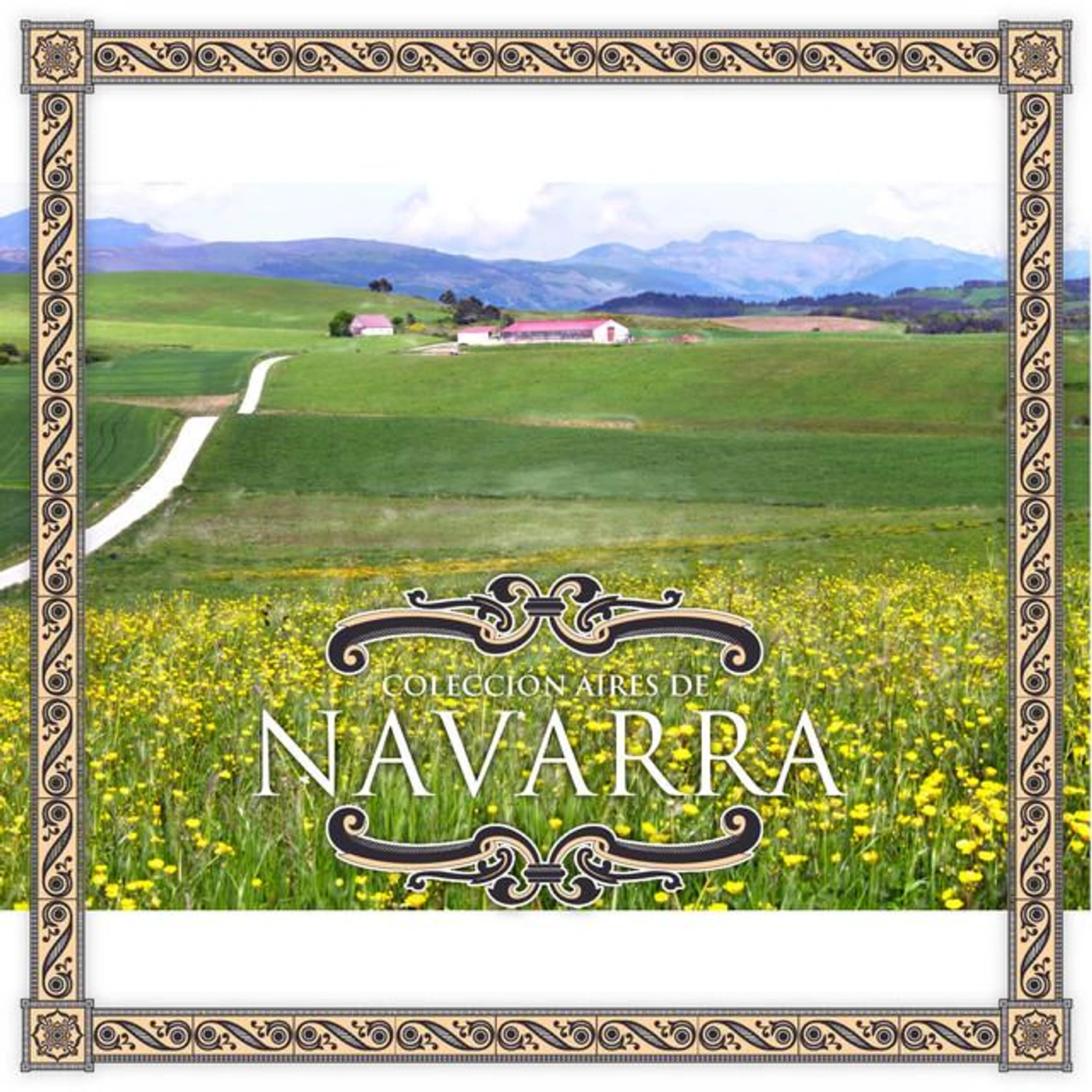 Alma Navarra Brand Page