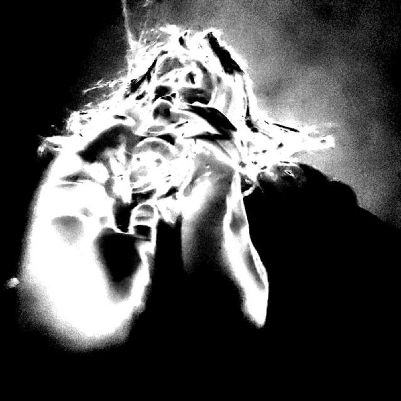 Alaska Sargent Brand Page