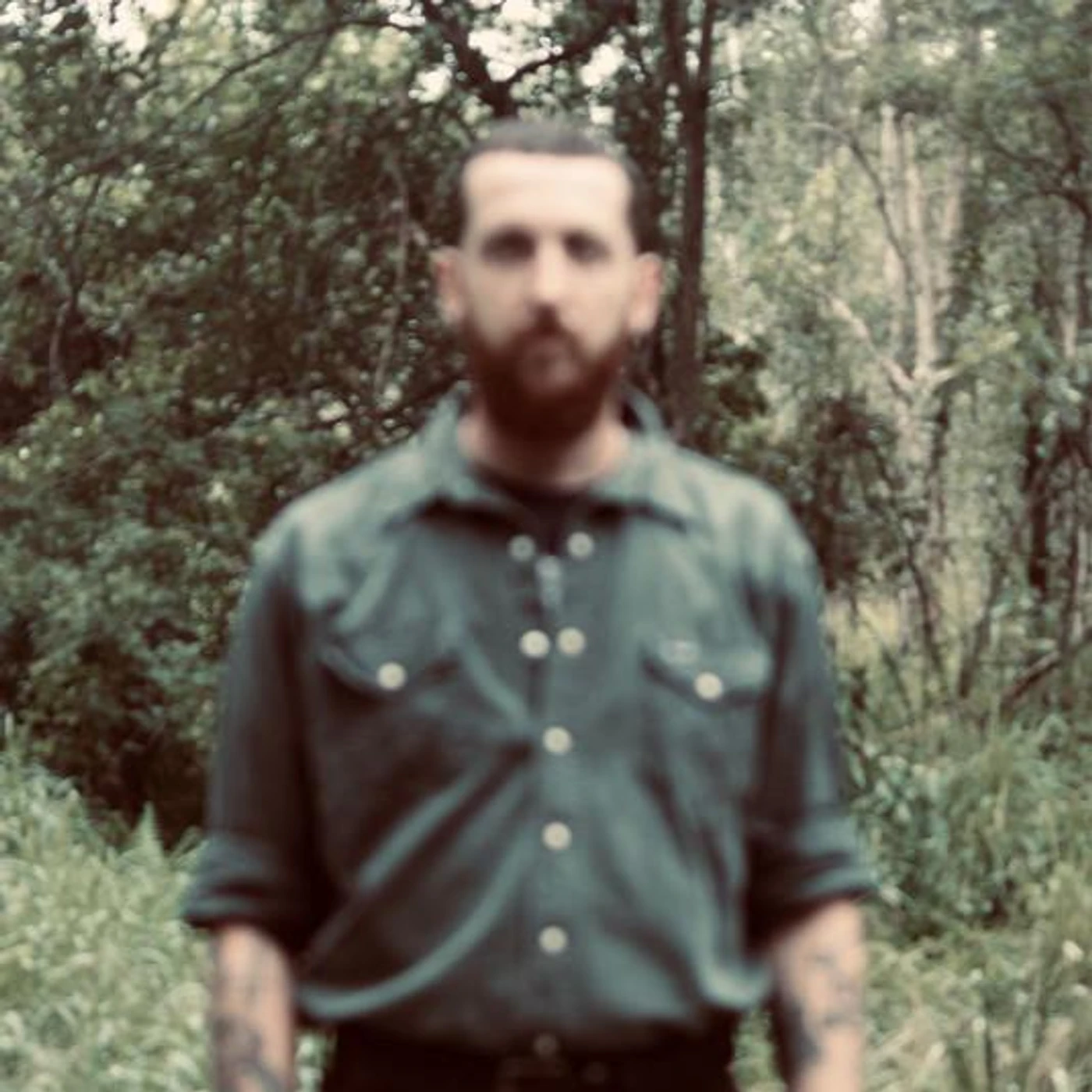 Alder Glade