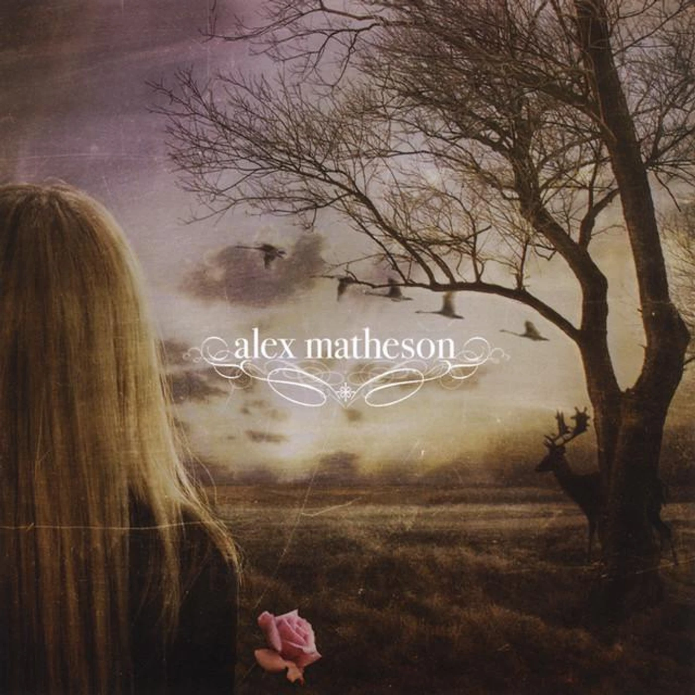 Alex Matheson Brand Page