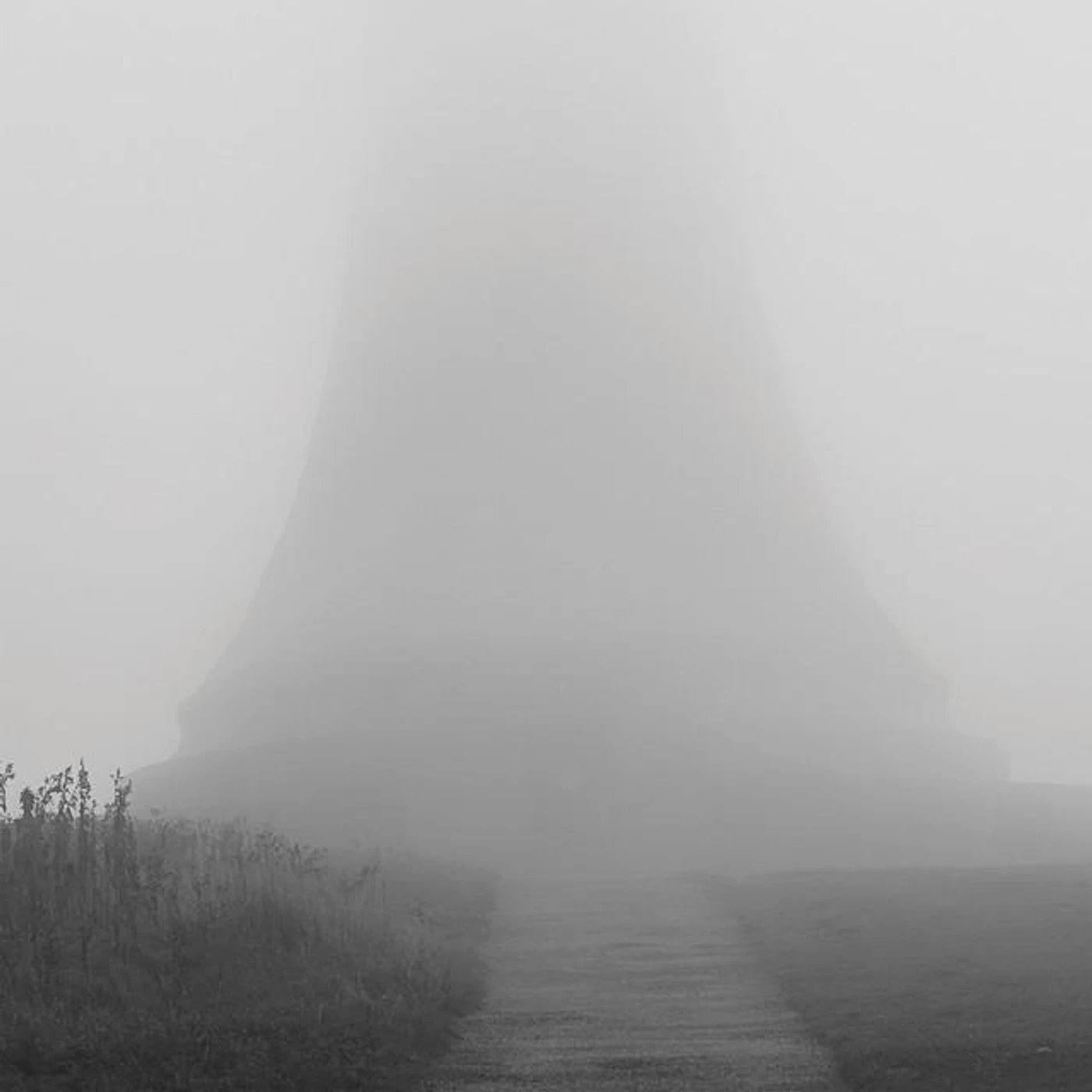 Alex Cobb Brand Page