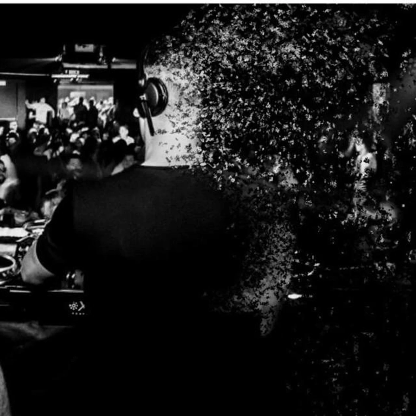 Alex Fuente Brand Page