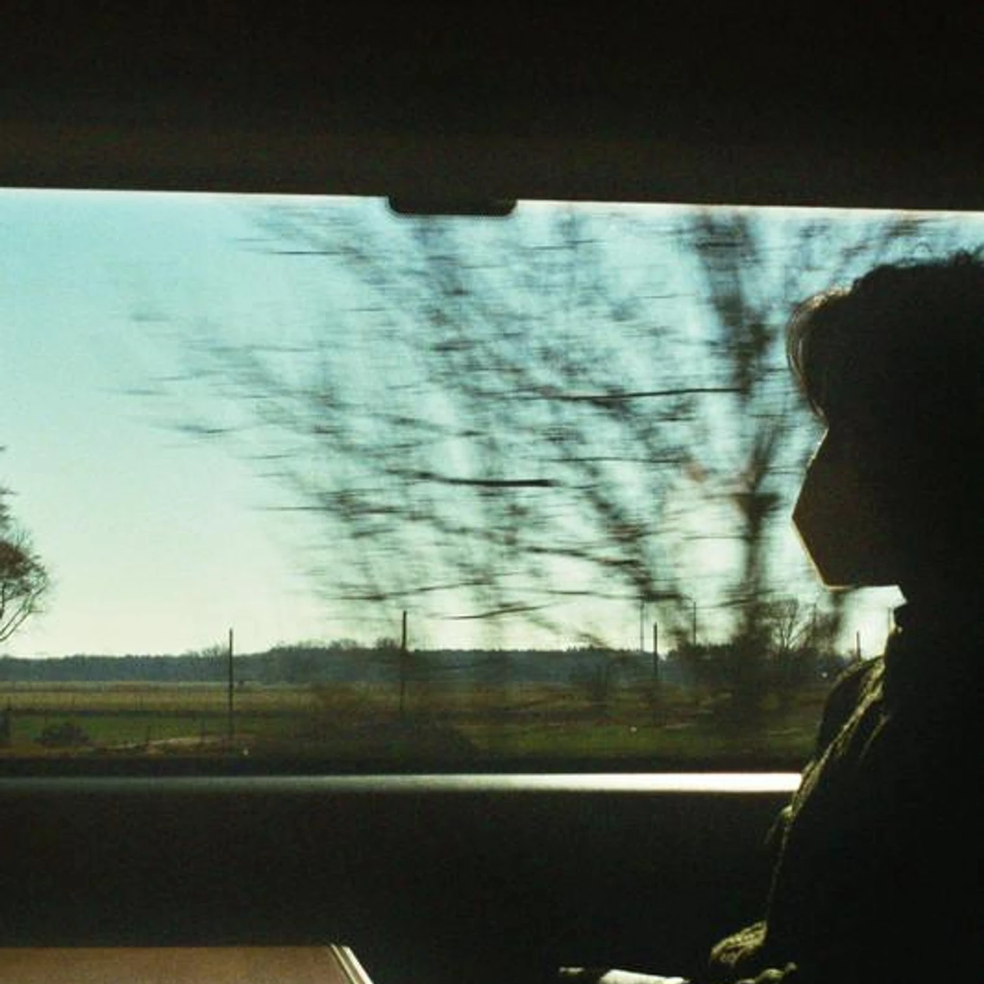 Alex Lisi Brand Page