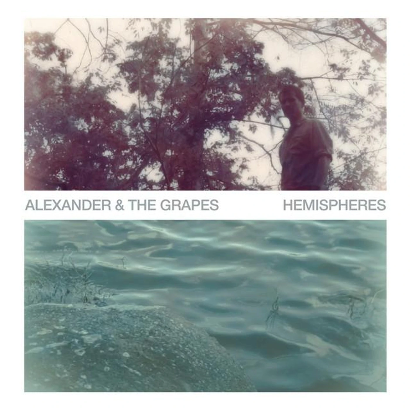 Alexander & The Grapes Brand Page