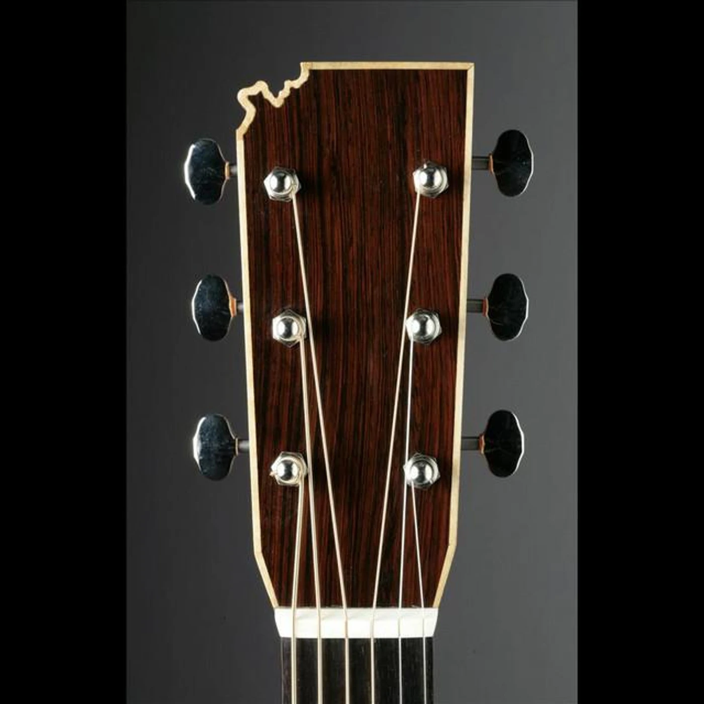 Alferd Packer Memorial String Band Brand Page
