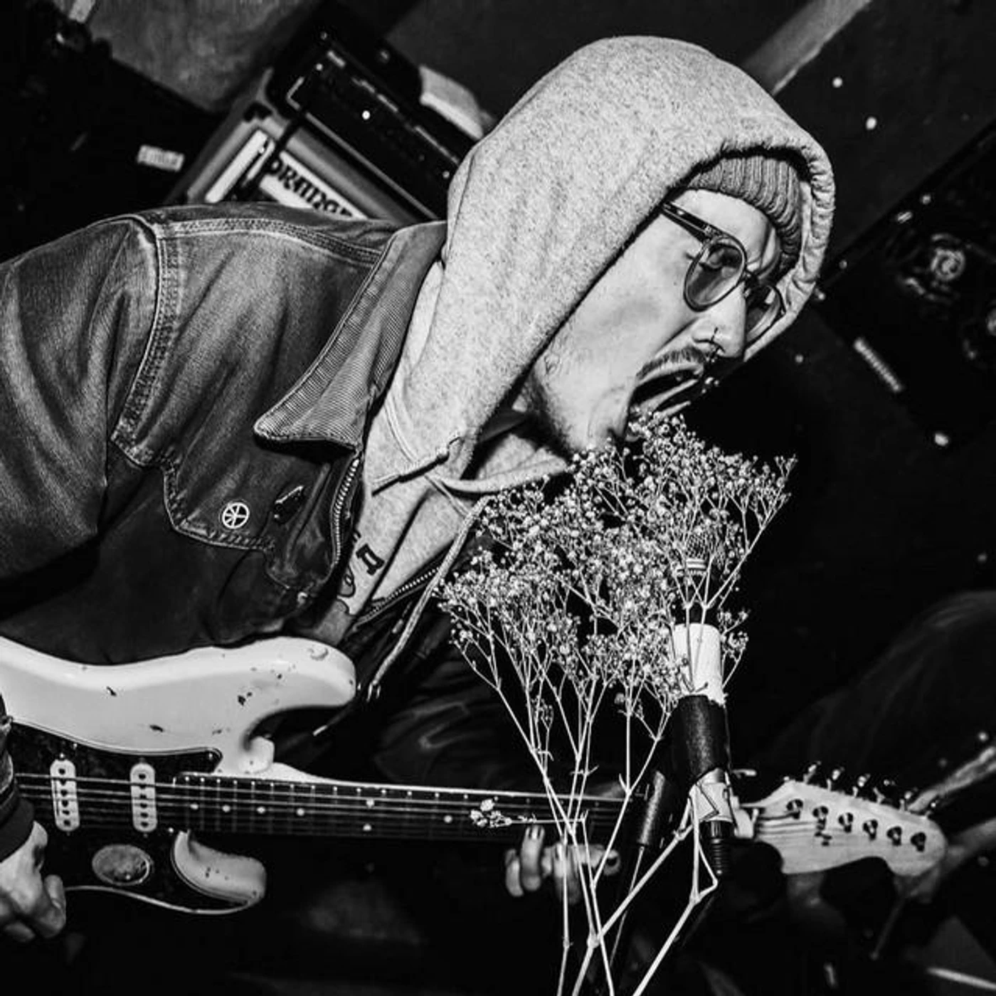 Algae Bloom Brand Page