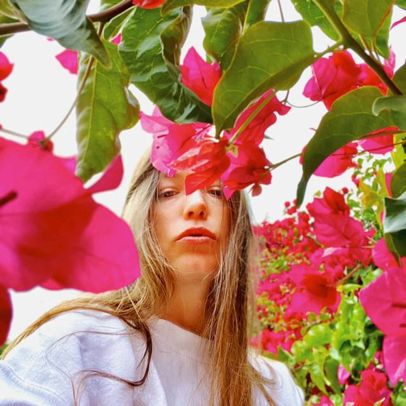 Alivenique Brand Page