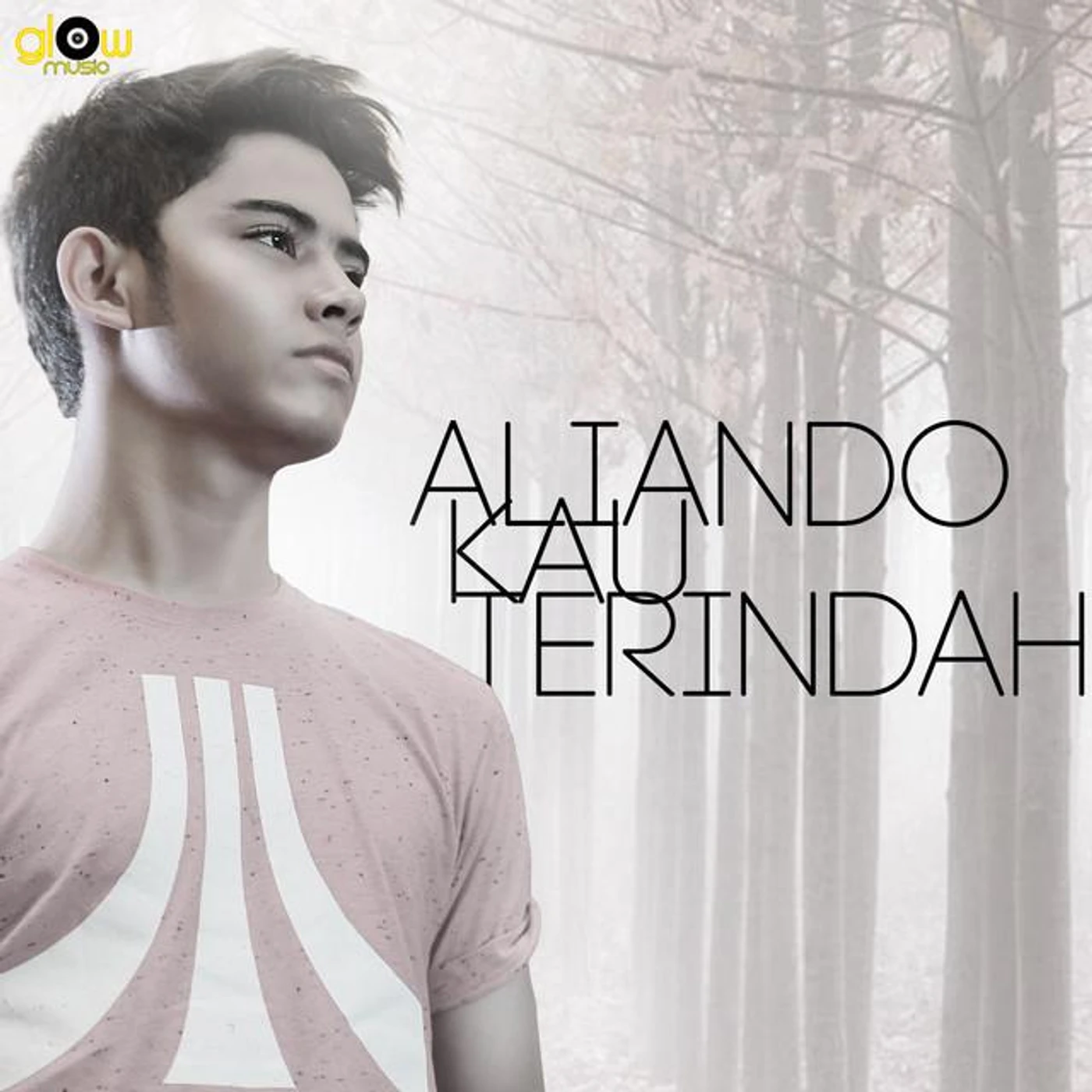Aliando Brand Page