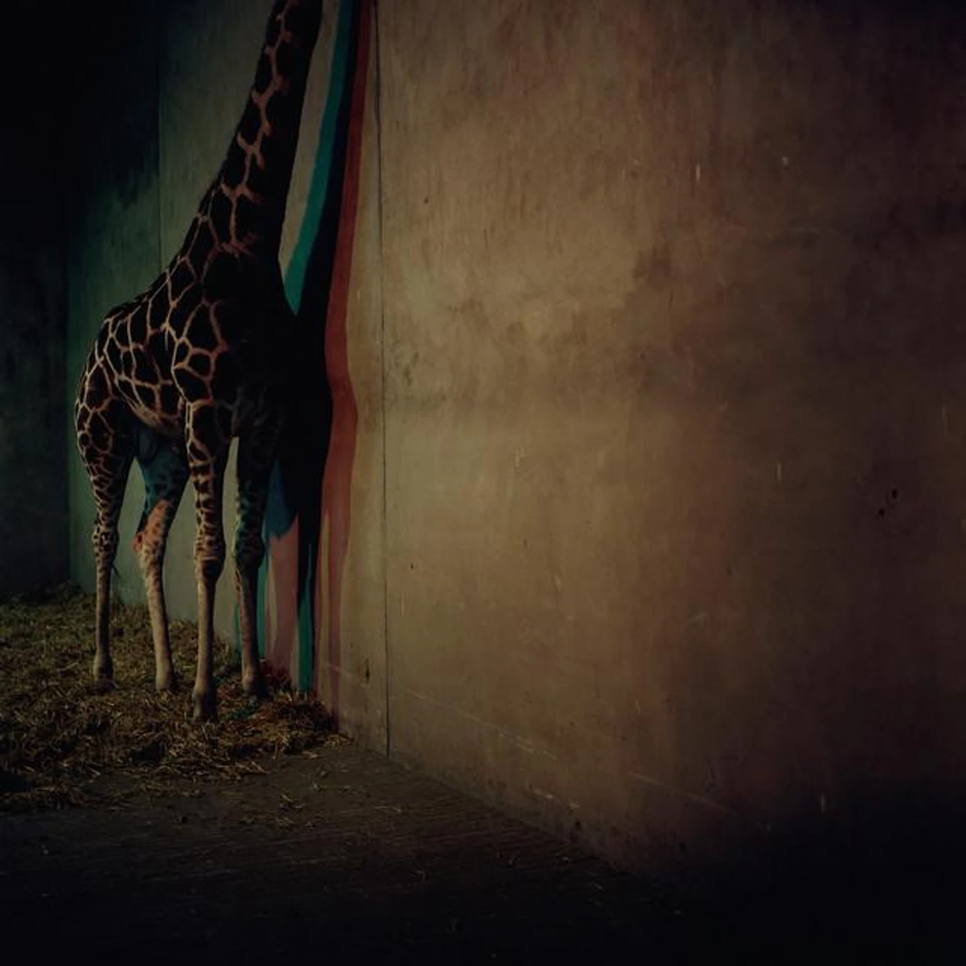 Alien Ensemble Brand Page