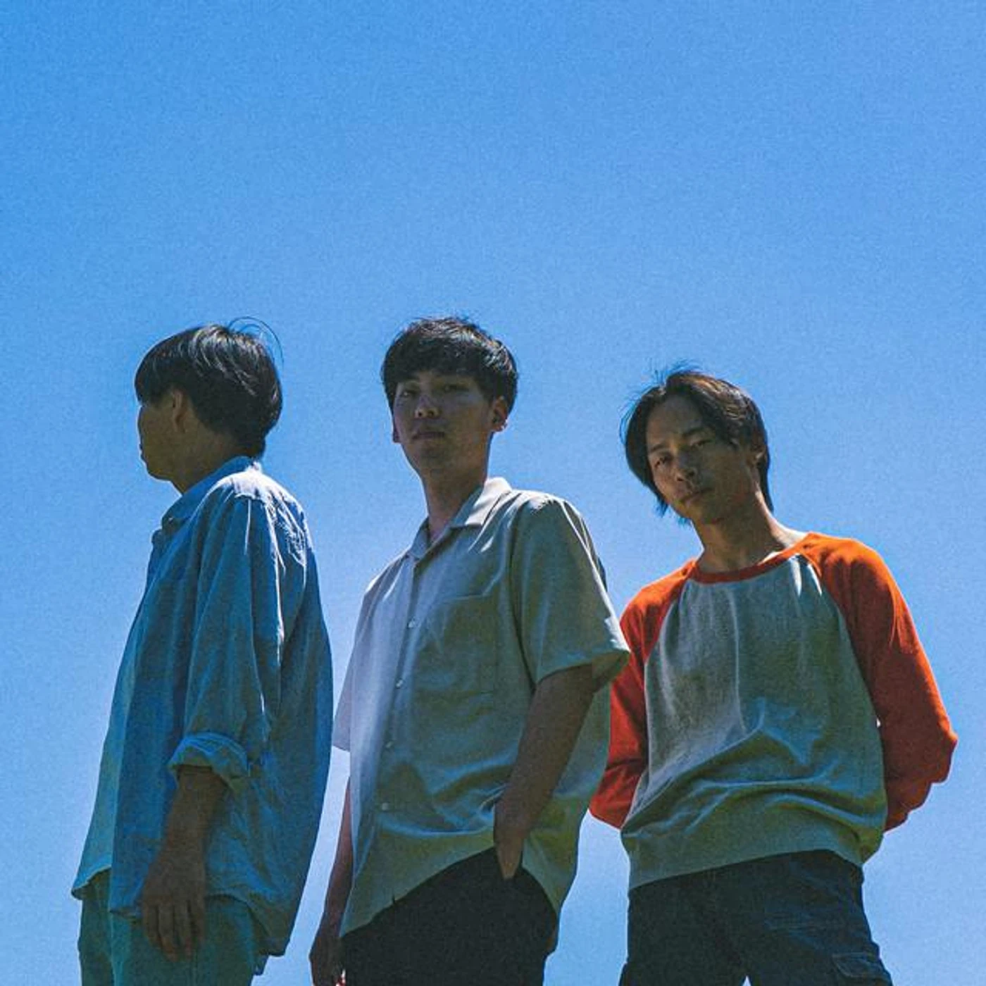 All lull wave Brand Page