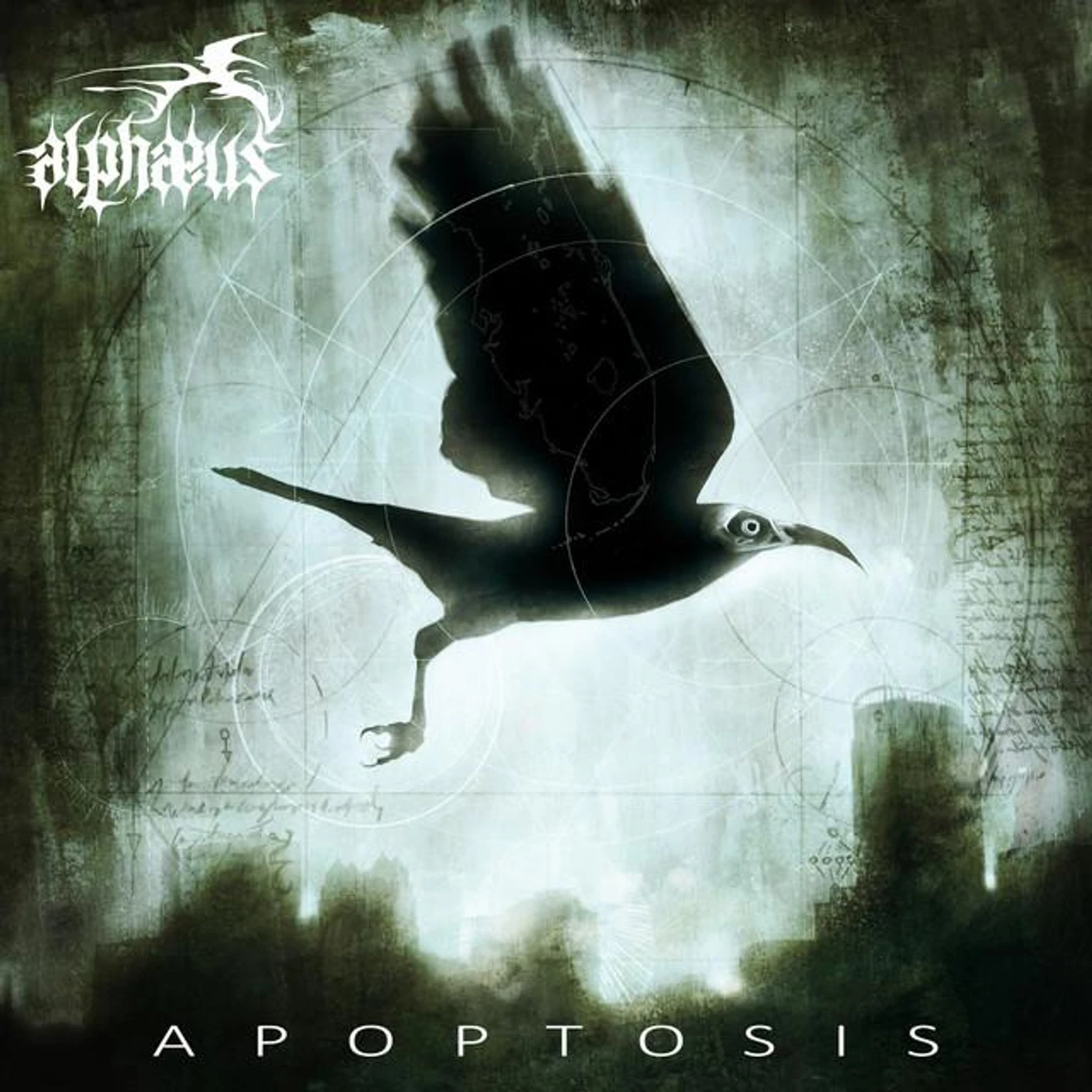 Alphæus