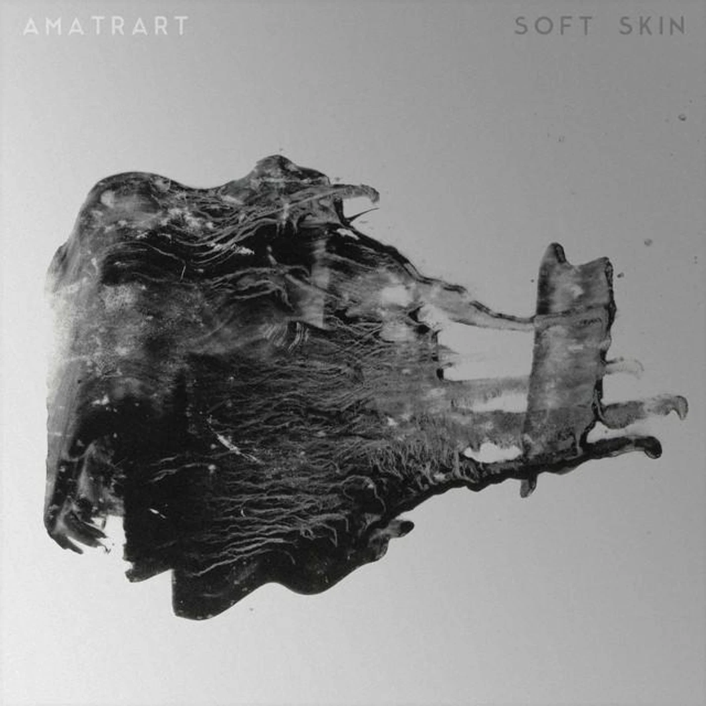 AmatrArt