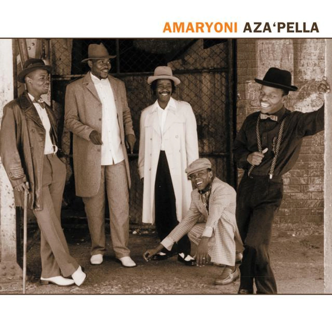 Amaryoni Brand Page