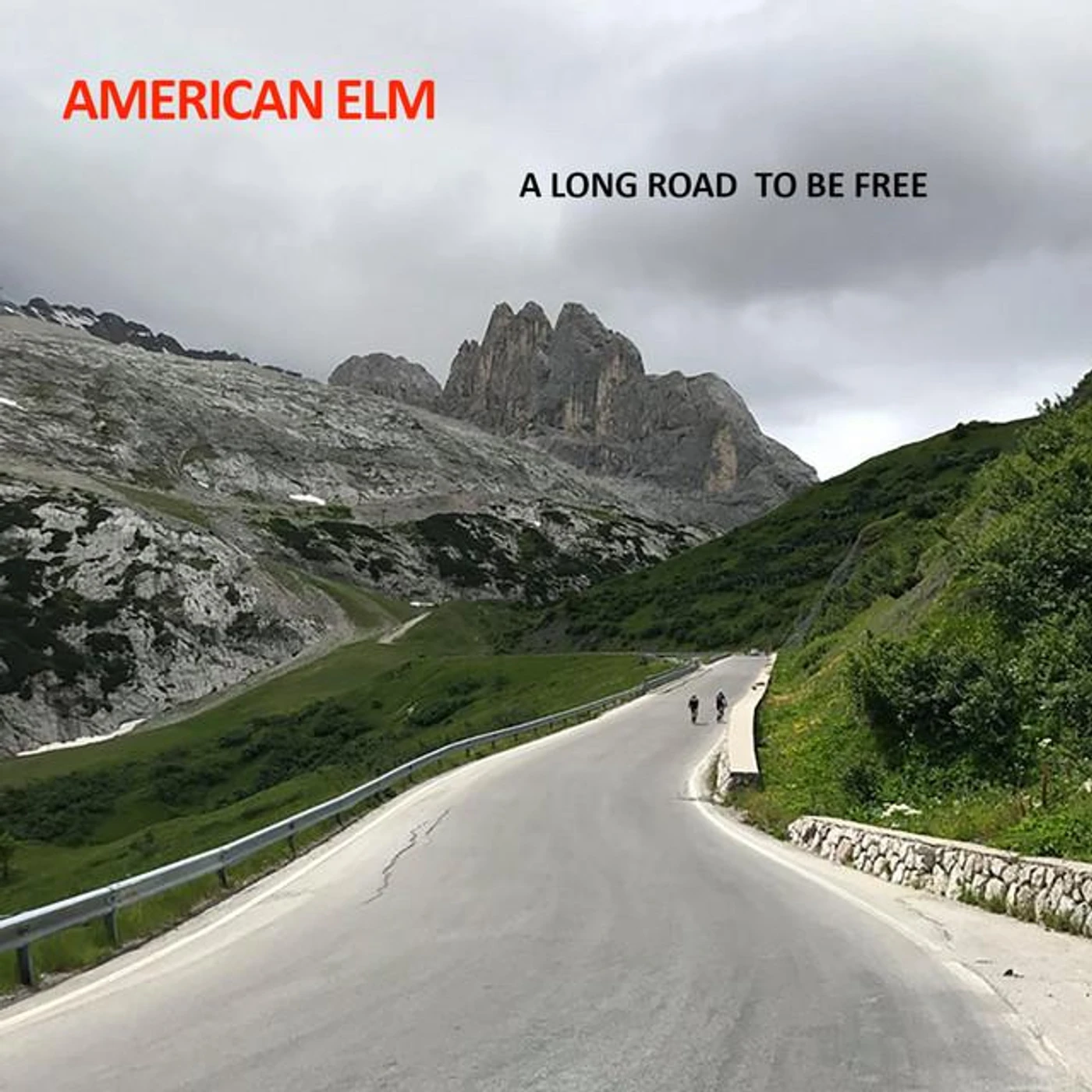 American Elm