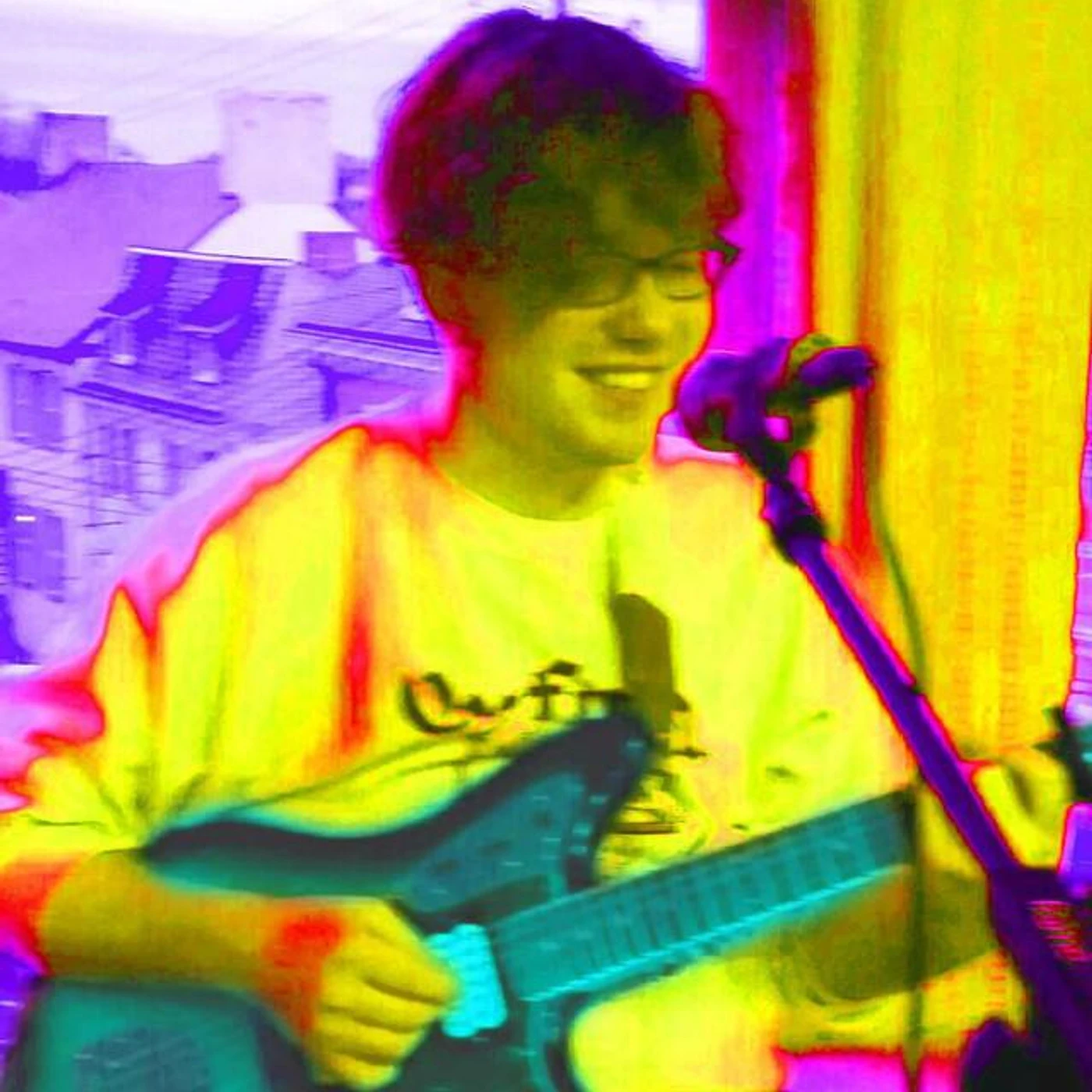 American Holly Brand Page