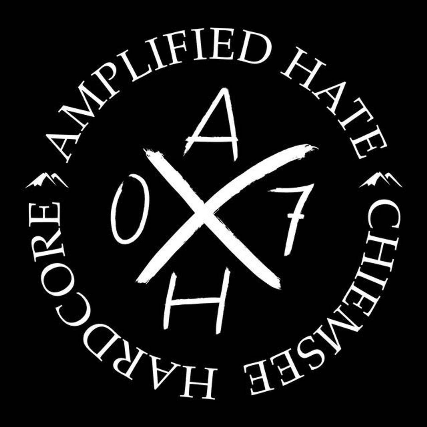 Amplified Hate Brand Page
