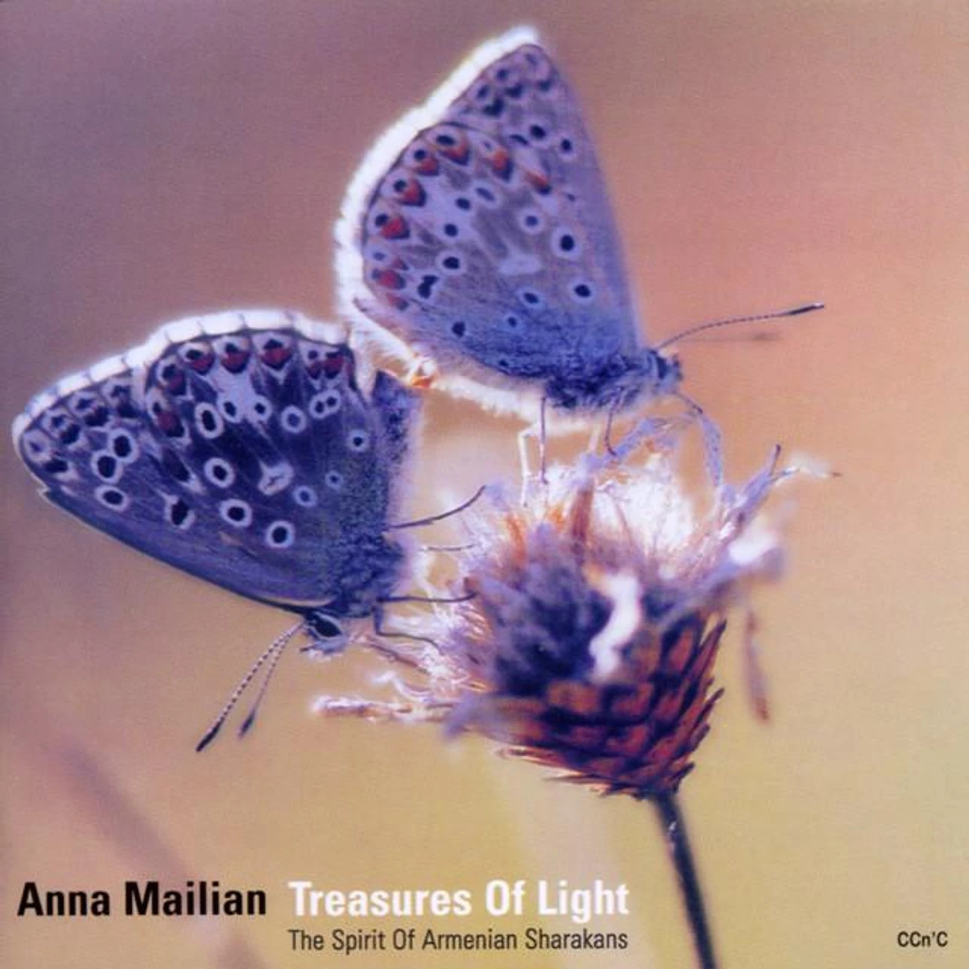 Anna Mailian Brand Page