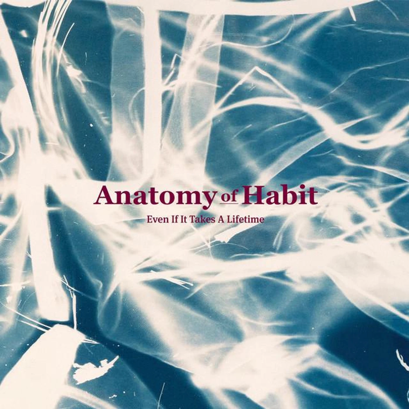 Anatomy Of Habit Brand Page