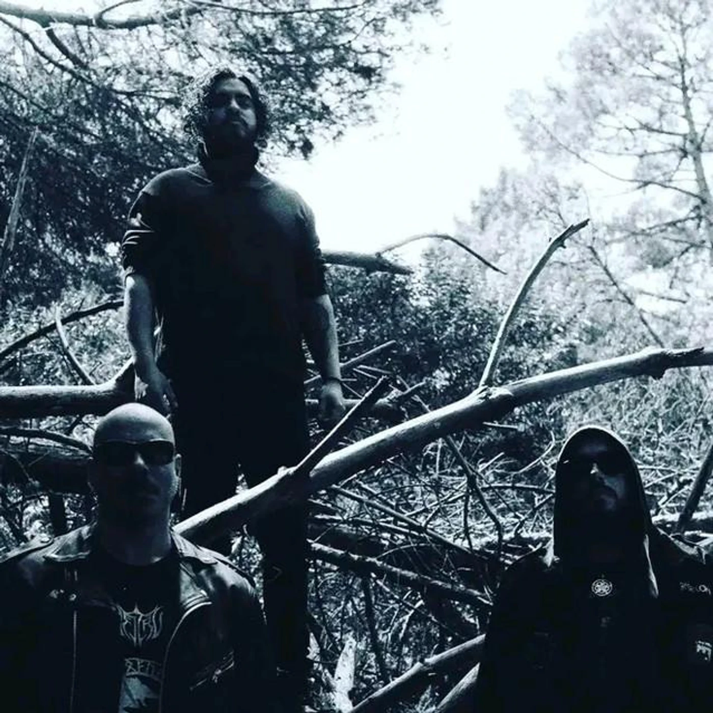 Ancestrum Brand Page