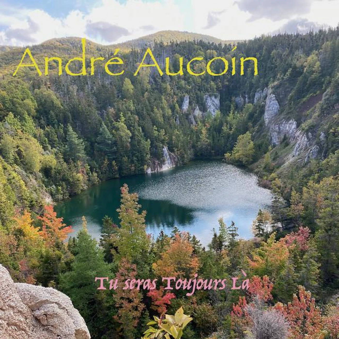 André Aucoin Brand Page