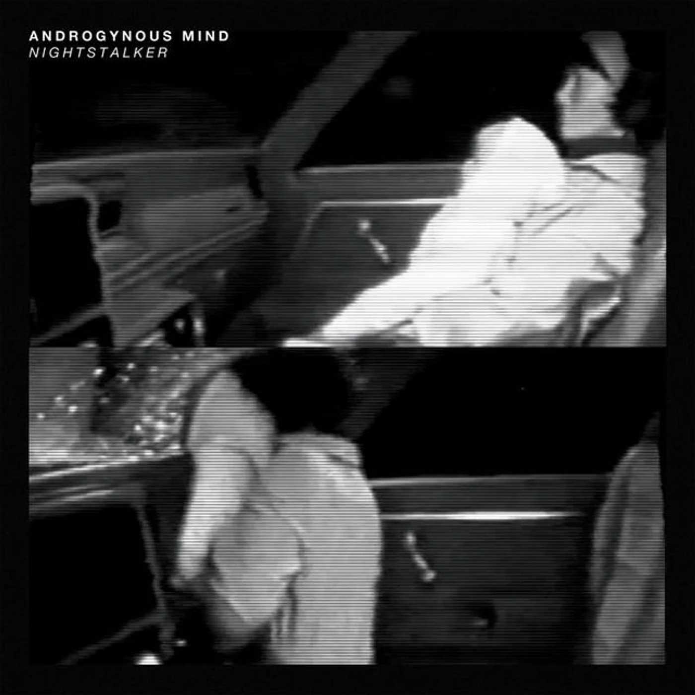 Androgynous Mind