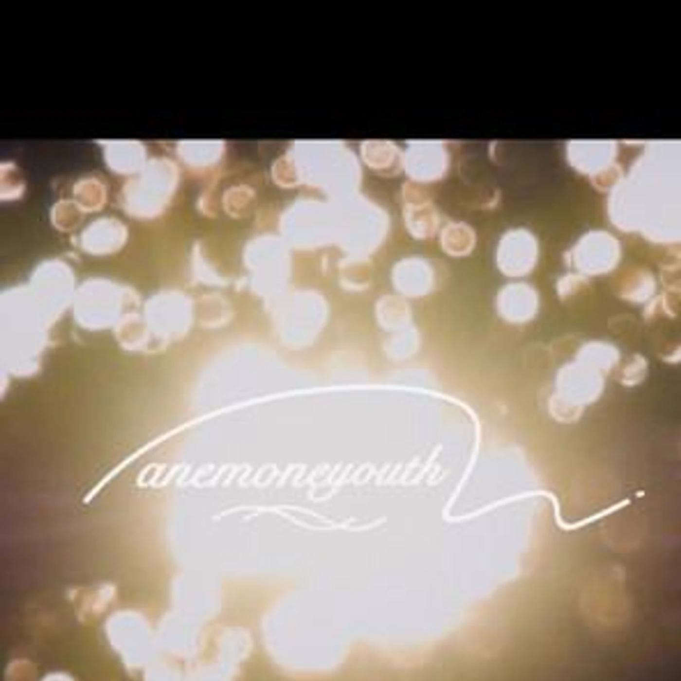 anemoneyouth