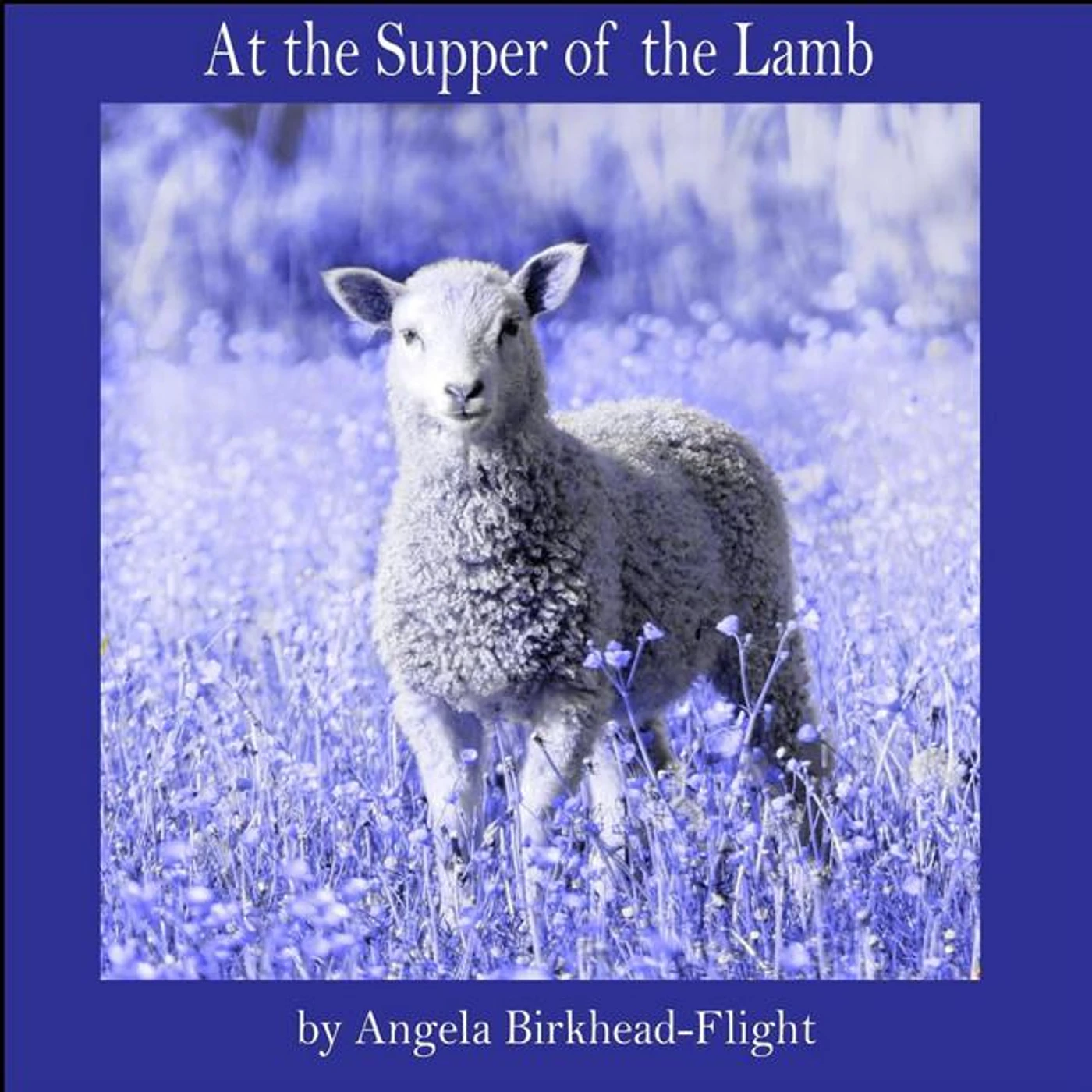 Angela Birkhead-Flight Brand Page